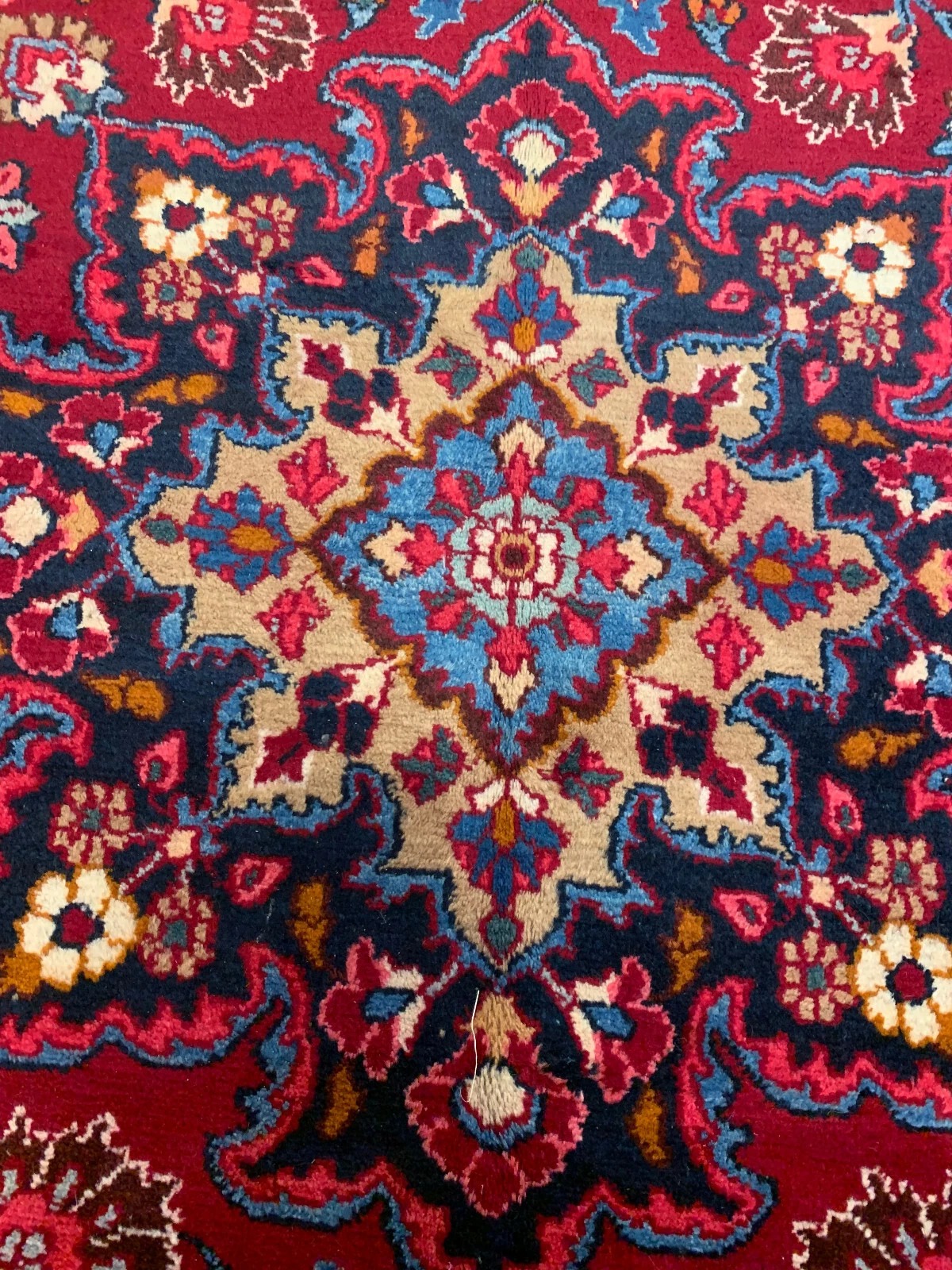 6.10 x 9.8 Persian Vintage Hand Knotted 100% Wool Vegetable Dye Area Rug