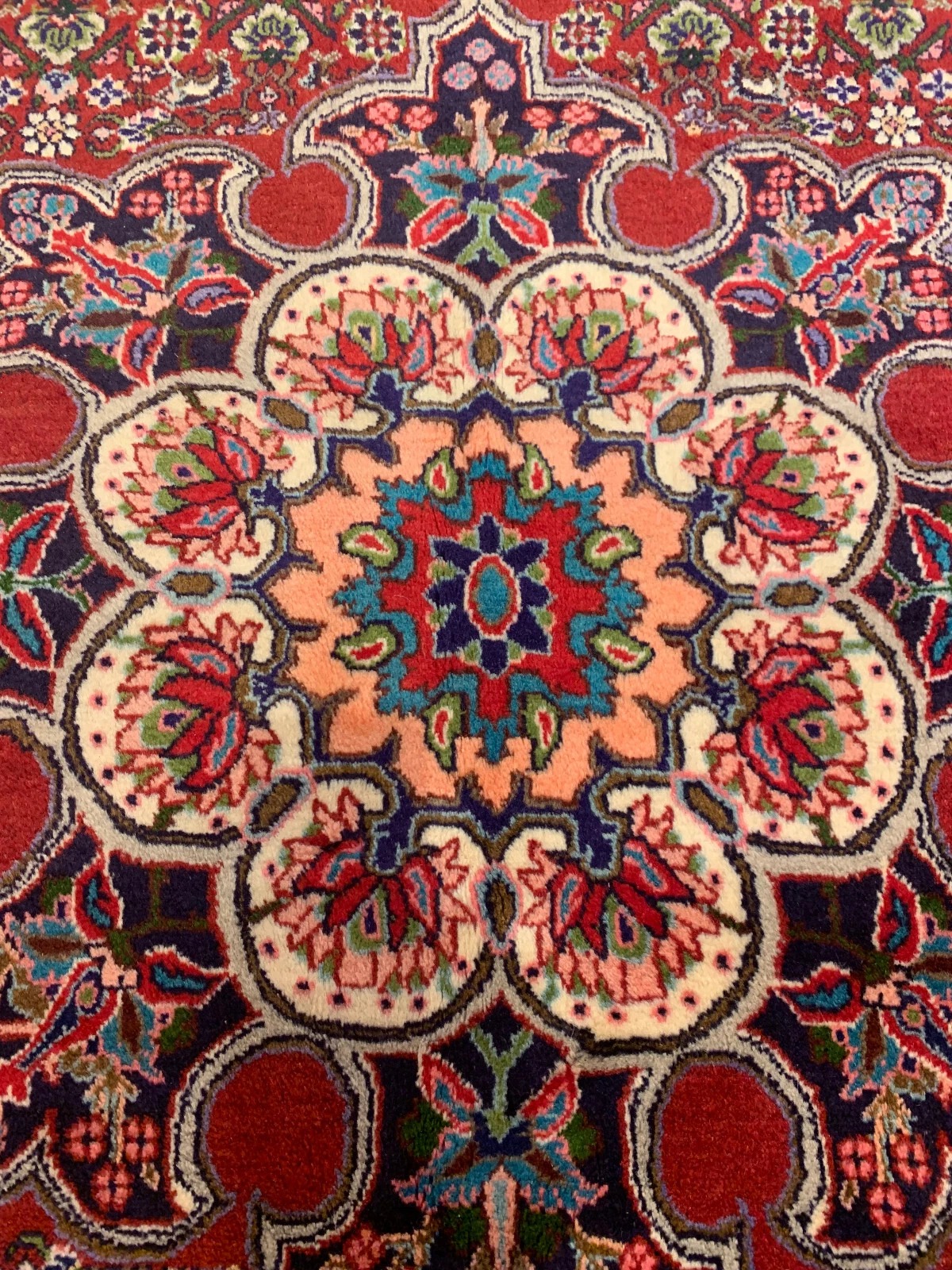 6.8 x 9.8 Persian Hand Knotted 100% Wool Vegetable Dye Area Rug