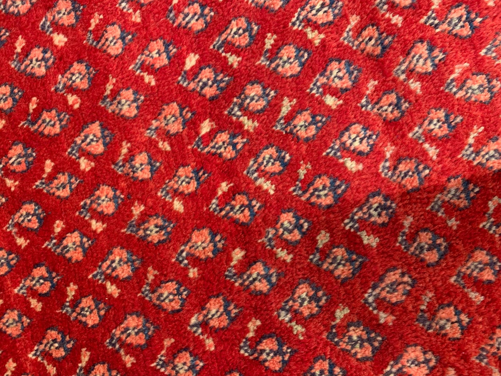 4.1 x 6.10 Persian Tribal Red/Navy 100% Wool Hand Made Rug Vegetable Dye