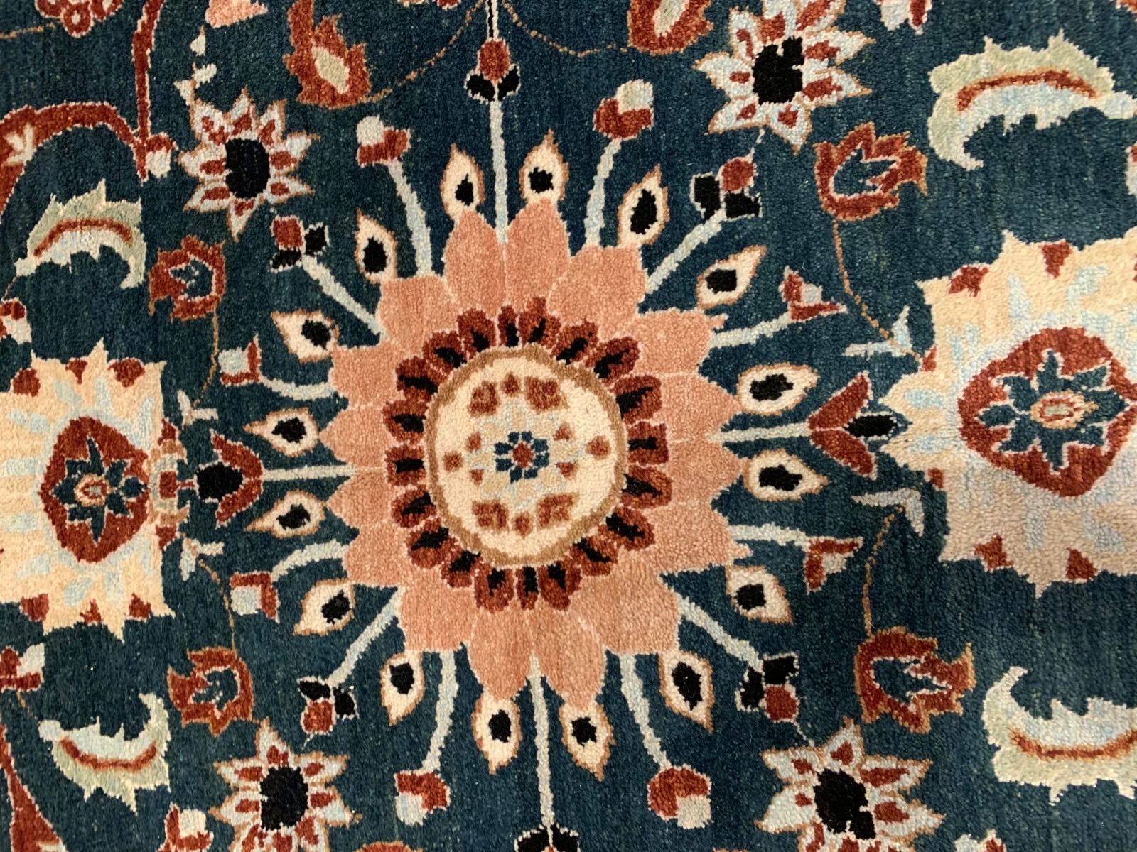 8 x 10 New Hand Knotted 100% Wool Area Rug