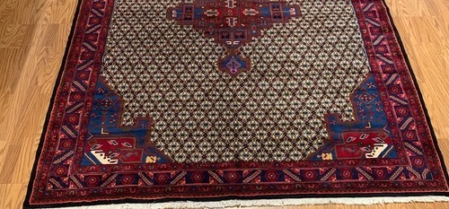 7.2 x 9.8 Vintage Hand Knotted 100% Wool Vegetable Dye Area Rug