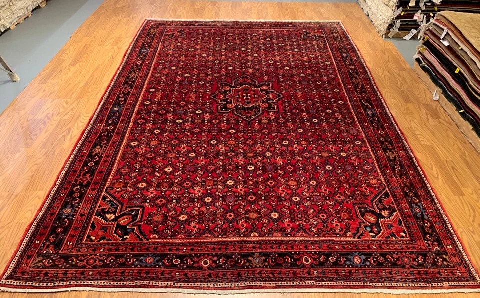 8 x 10 Hand Knotted 100% Wool Area Rug