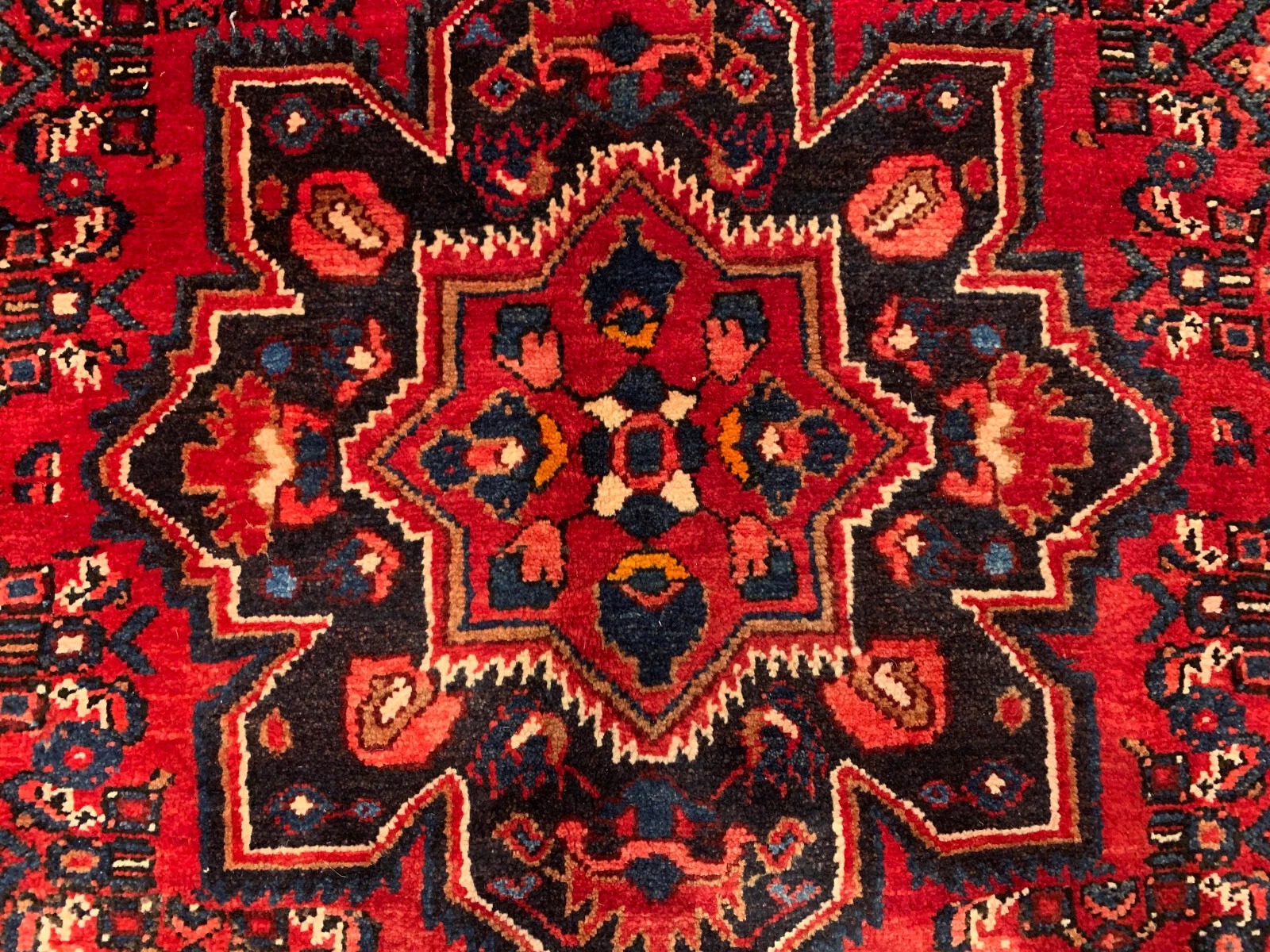 8 x 10 Hand Knotted 100% Wool Area Rug