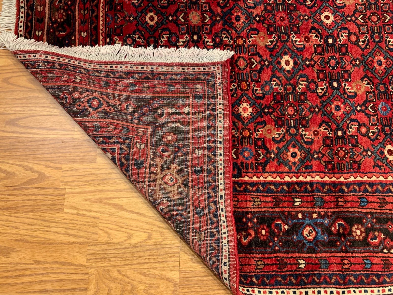 8 x 10 Hand Knotted 100% Wool Area Rug
