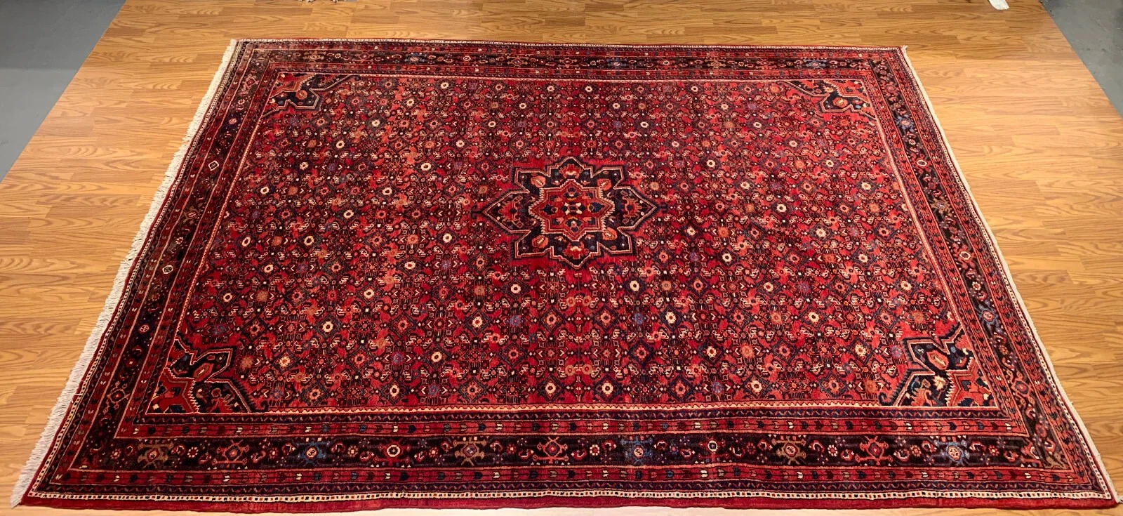 8 x 10 Hand Knotted 100% Wool Area Rug
