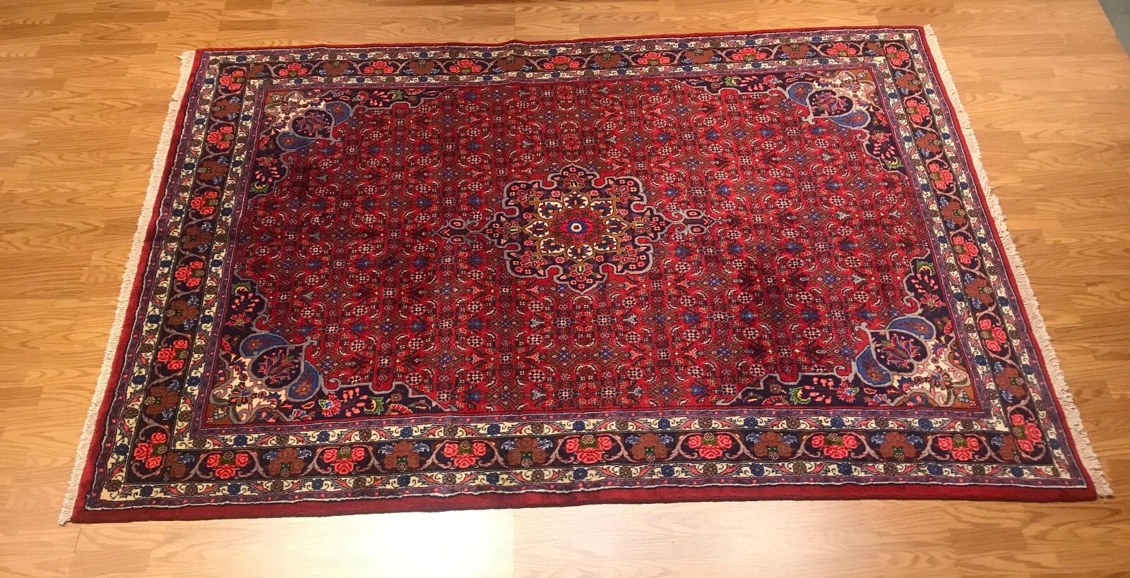 6.10 x 9.9 Persian 100% Wool Hand Knotted Area Rug