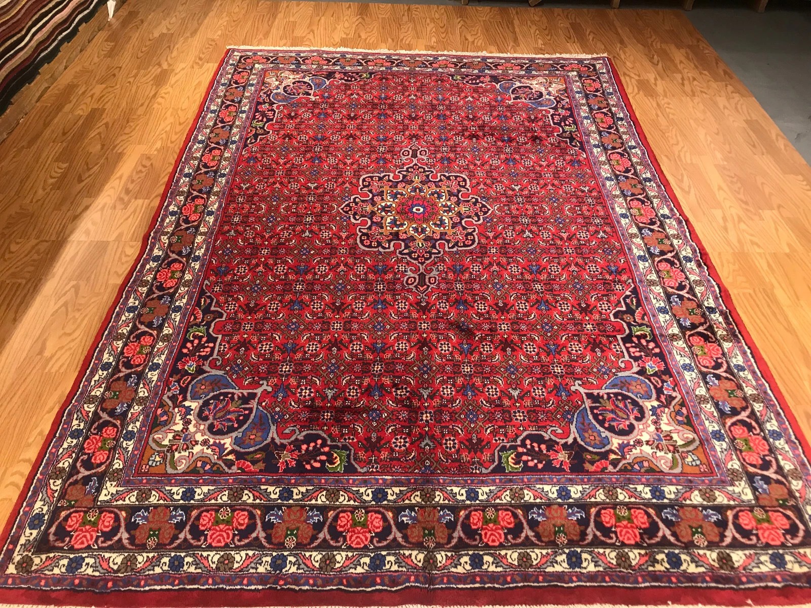 6.10 x 9.9 Persian 100% Wool Hand Knotted Area Rug