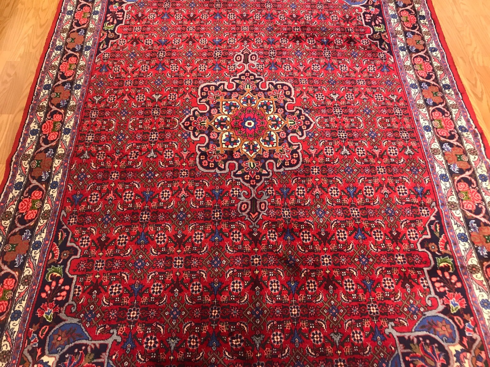 6.10 x 9.9 Persian 100% Wool Hand Knotted Area Rug