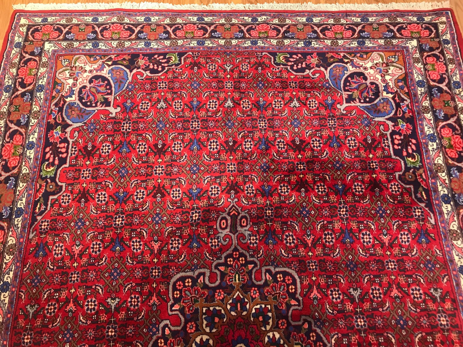 6.10 x 9.9 Persian 100% Wool Hand Knotted Area Rug