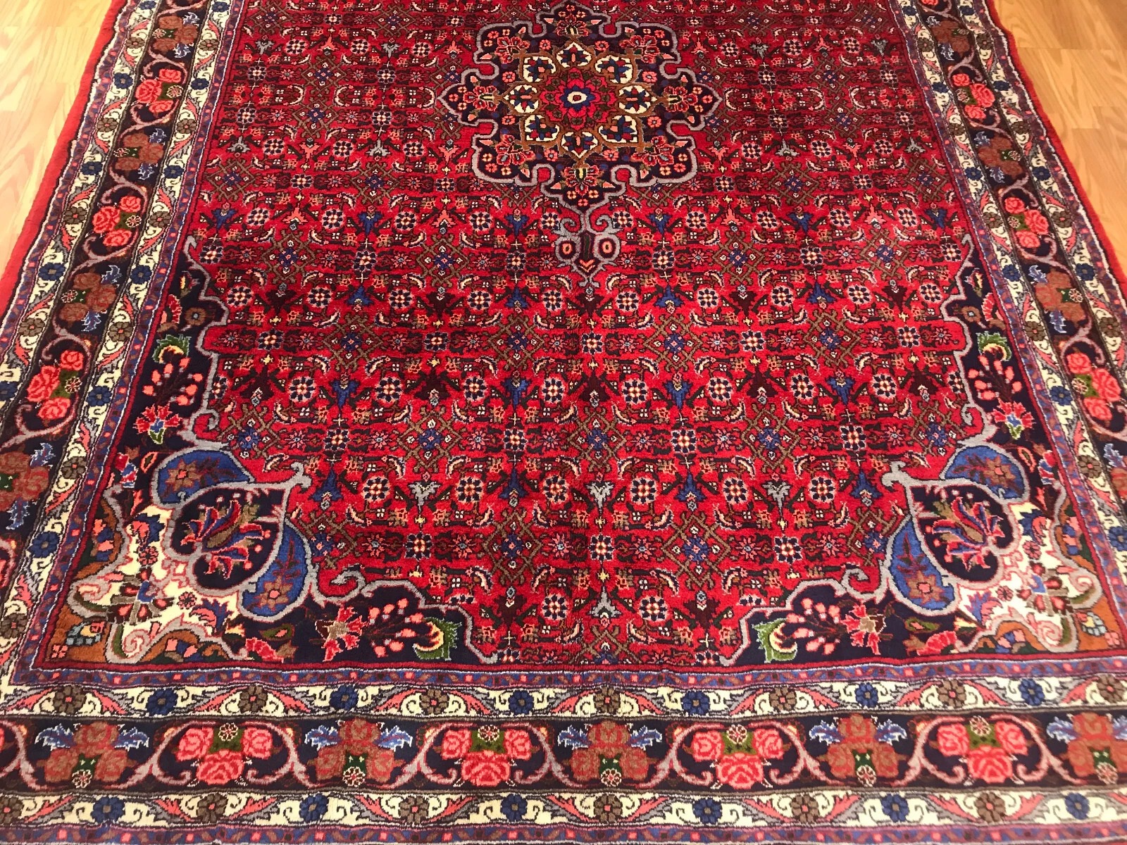 6.10 x 9.9 Persian 100% Wool Hand Knotted Area Rug