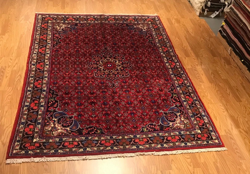 6.10 x 9.9 Persian 100% Wool Hand Knotted Area Rug