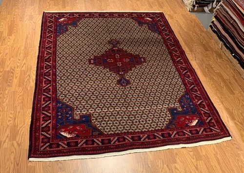 6.11 x 9.9 Vintage Hand Knotted 100% Wool Vegetable Dye Area Rug