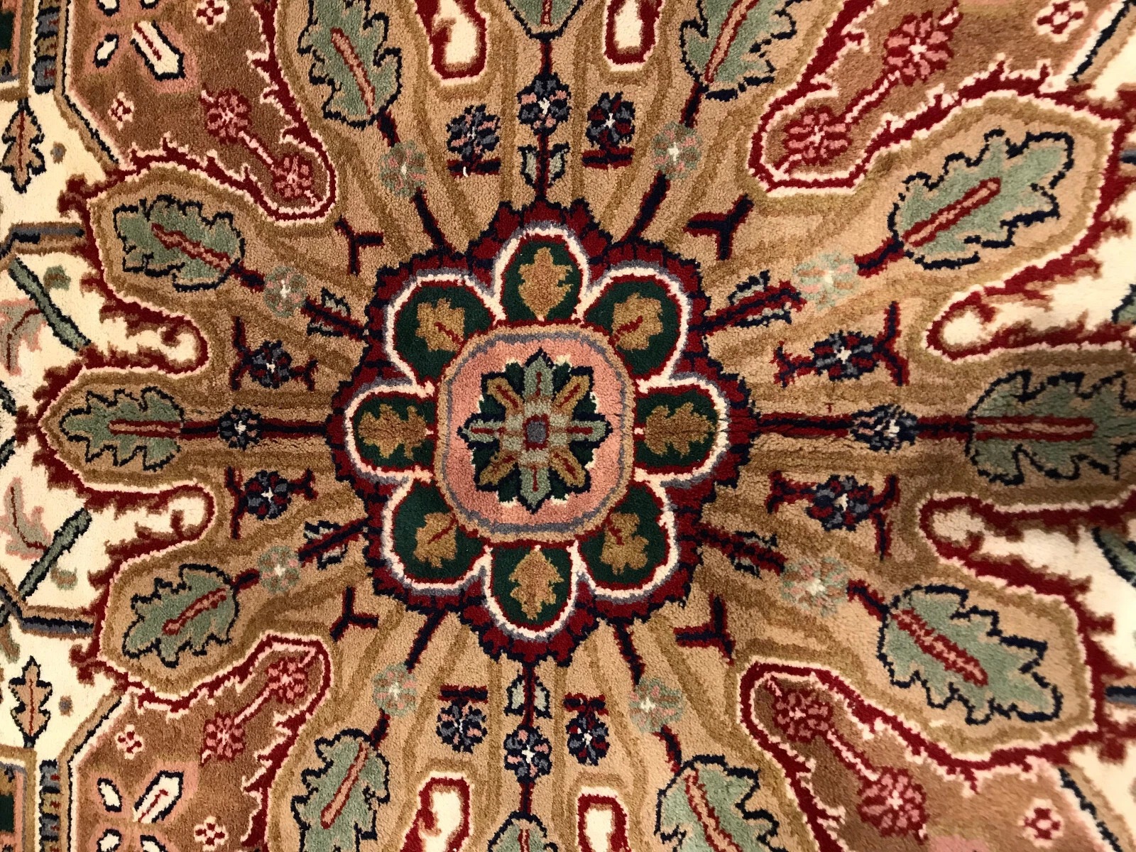 8 X 10 Hand Knotted 100% Wool Area Rug
