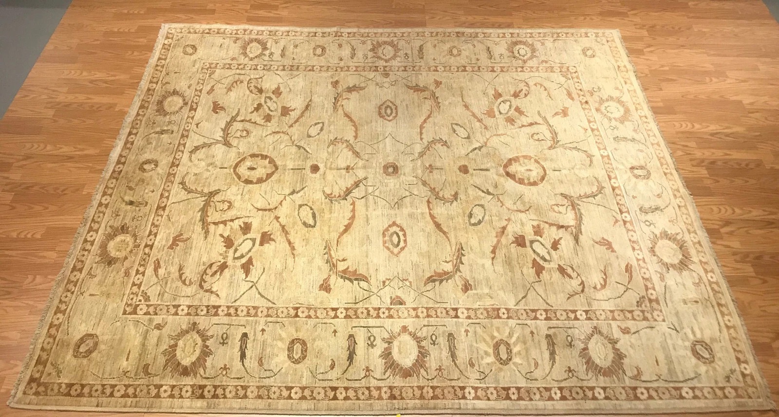 8 x 10 Hand Knotted 100% Wool Area Rug