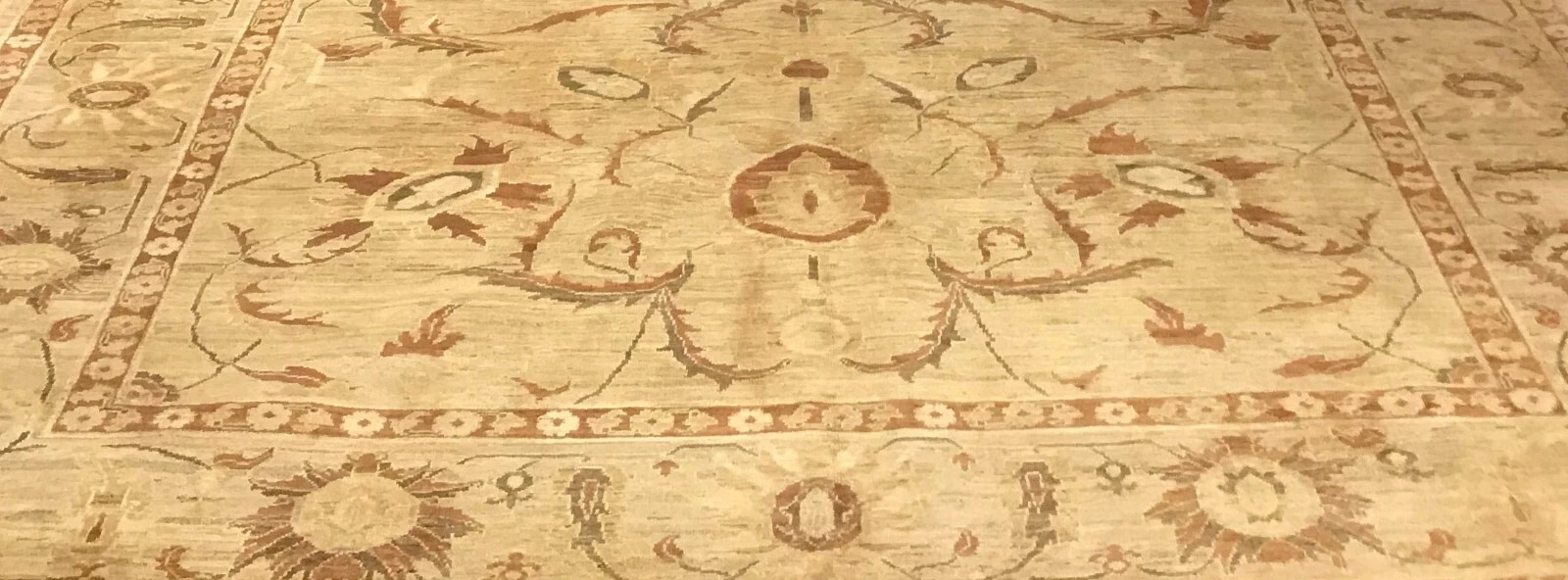 8 x 10 Hand Knotted 100% Wool Area Rug