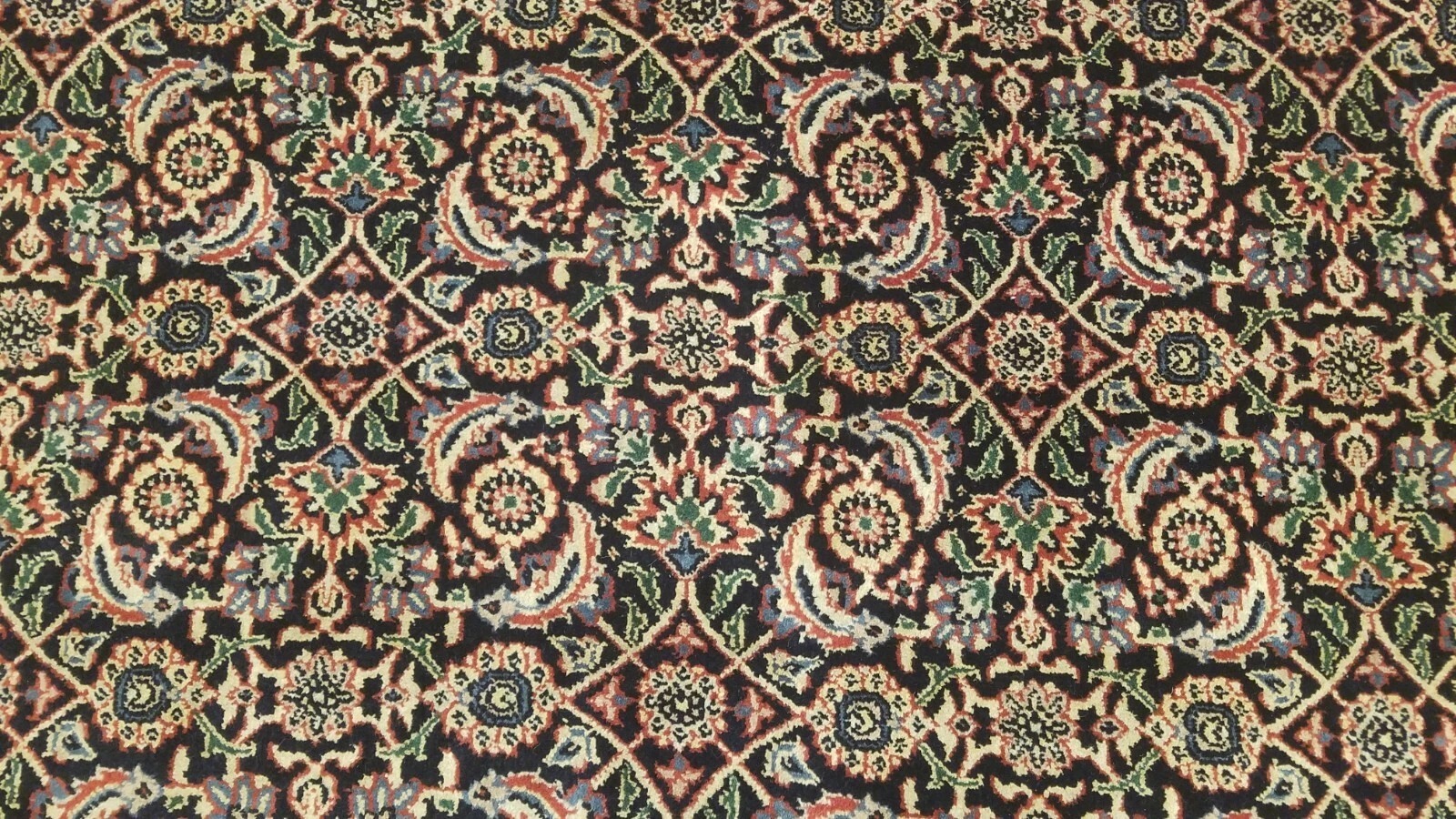 9 x 12 Black Very High Quality Harati hand Knotted Wool Oriental Rug
