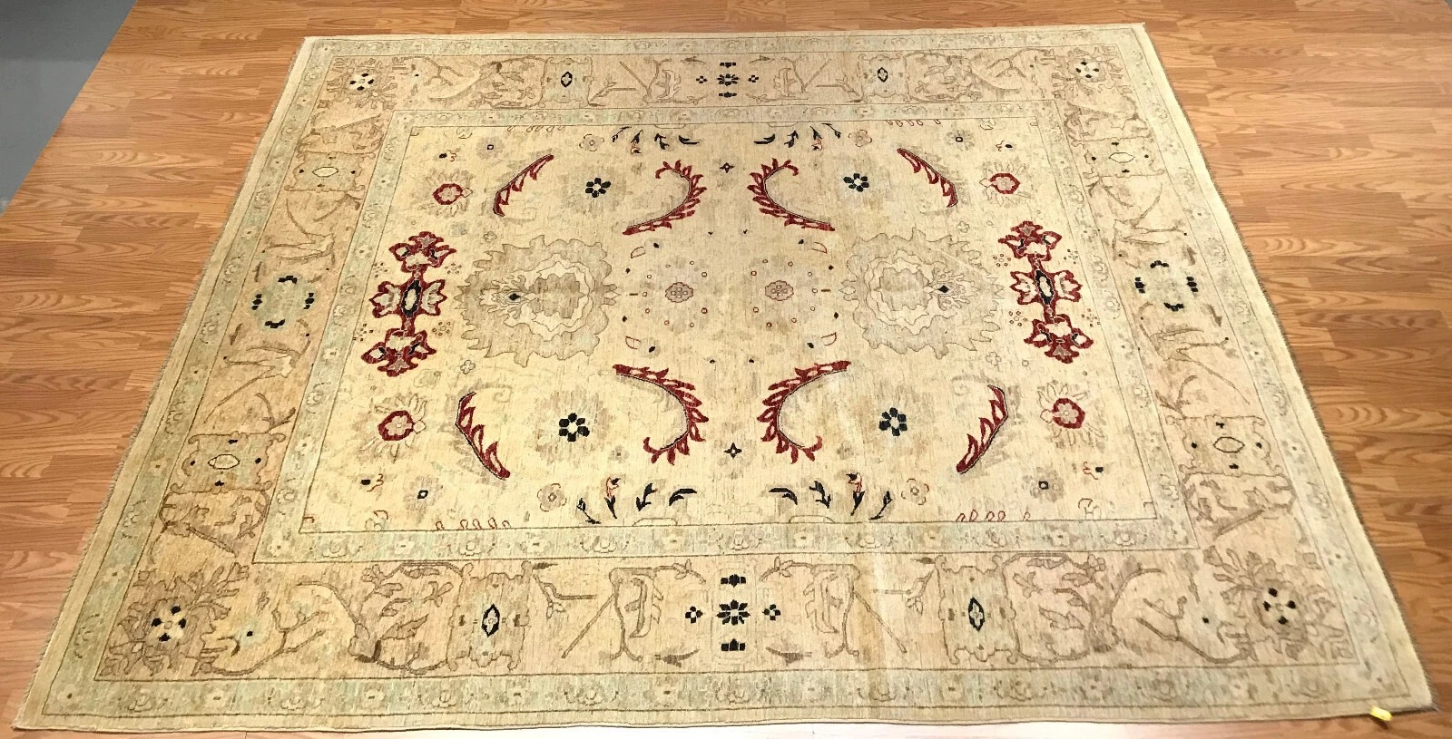 8 X 10 Hand Knotted 100% Wool Area Rug