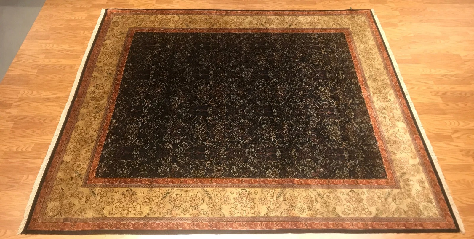 8 x 10 Hand Knotted 100% Wool Area Rug