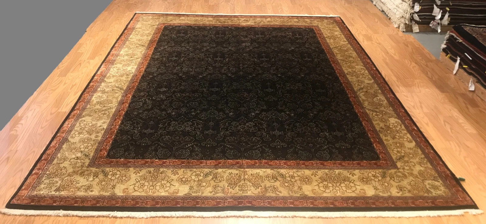 8 x 10 Hand Knotted 100% Wool Area Rug