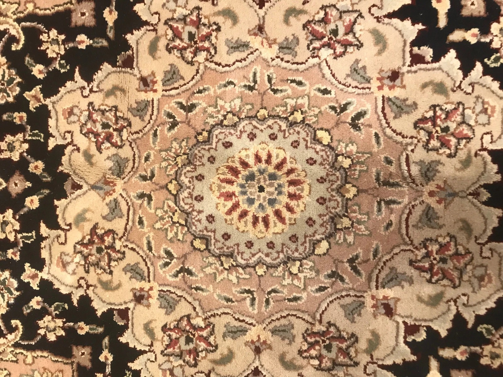 8 x 10 Hand Knotted Wool & Silk Area Rug