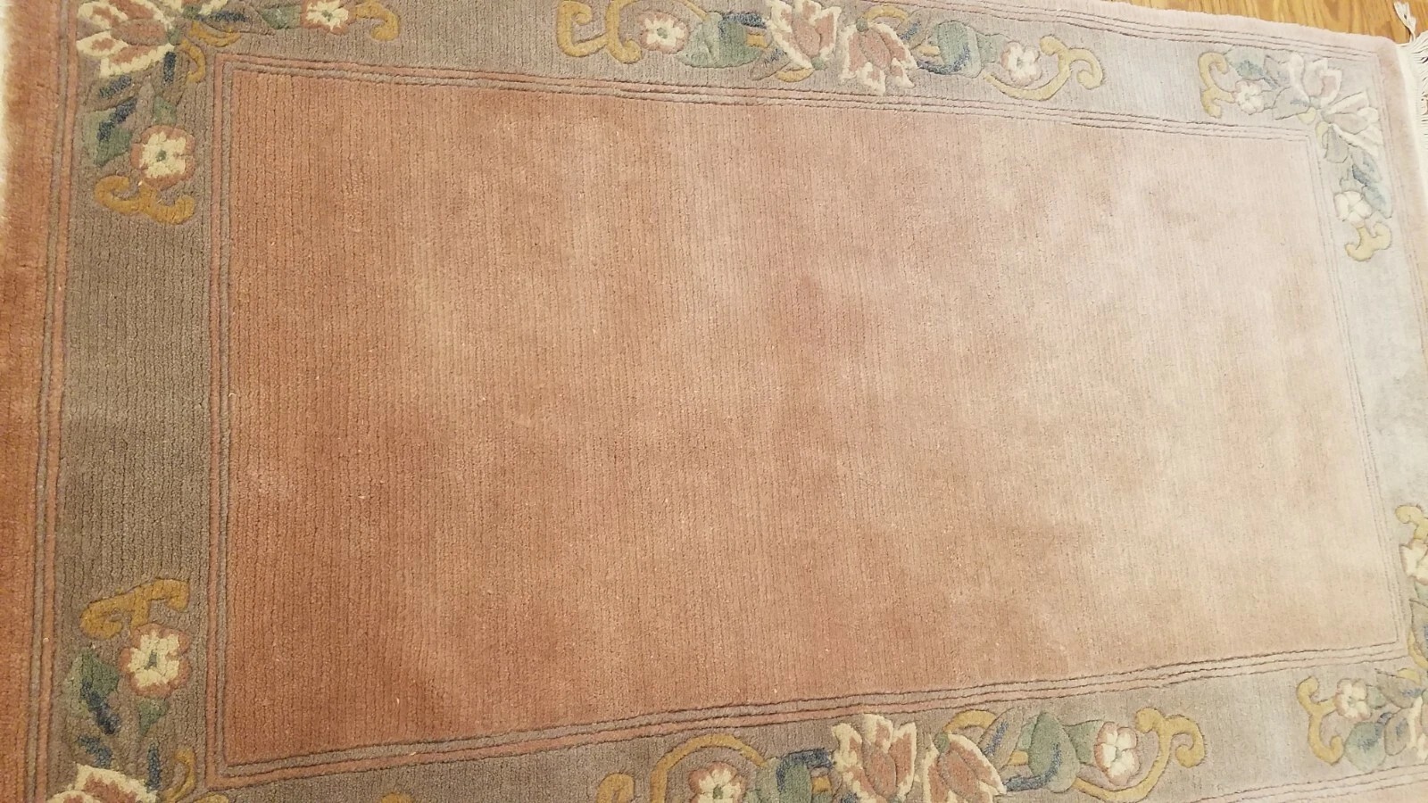 3 x 5 Indo Tibetan Hand Knotted Wool Rug