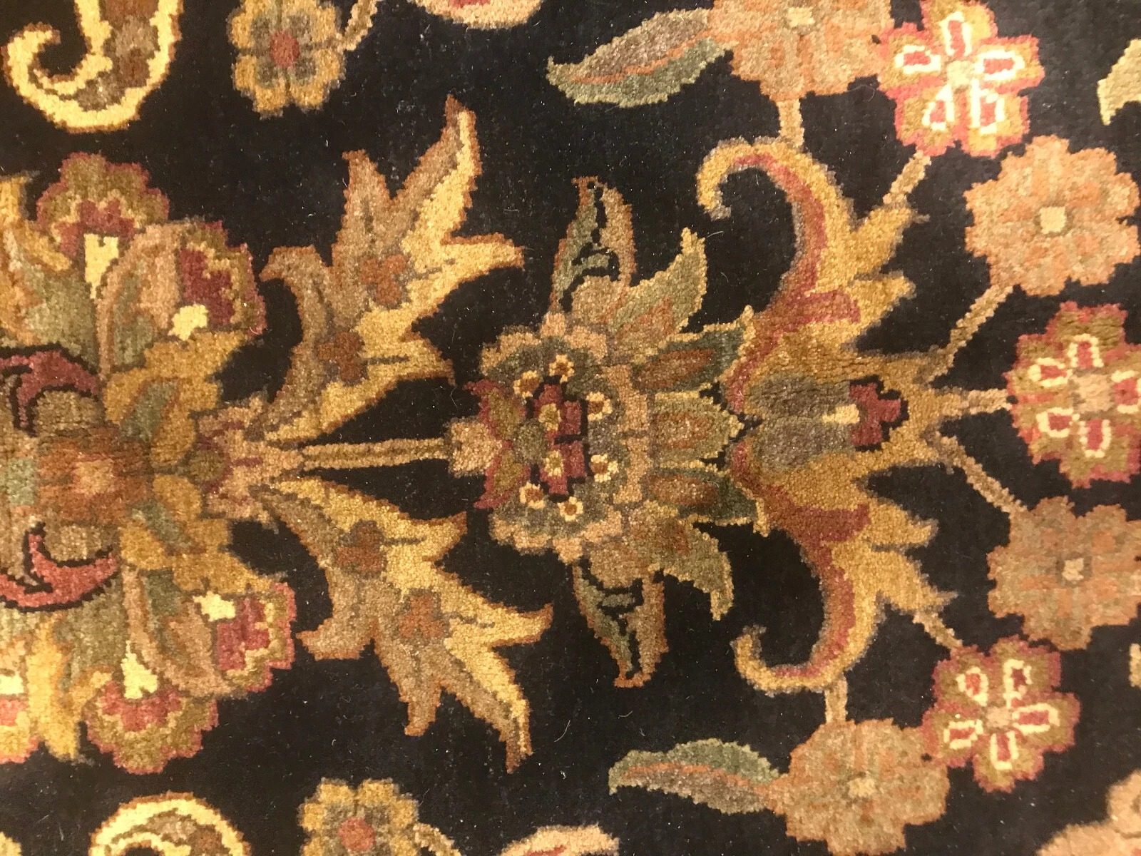 8 x 10 Indo Agra Hand spawned Wool Hand Knotted Oriental Rug