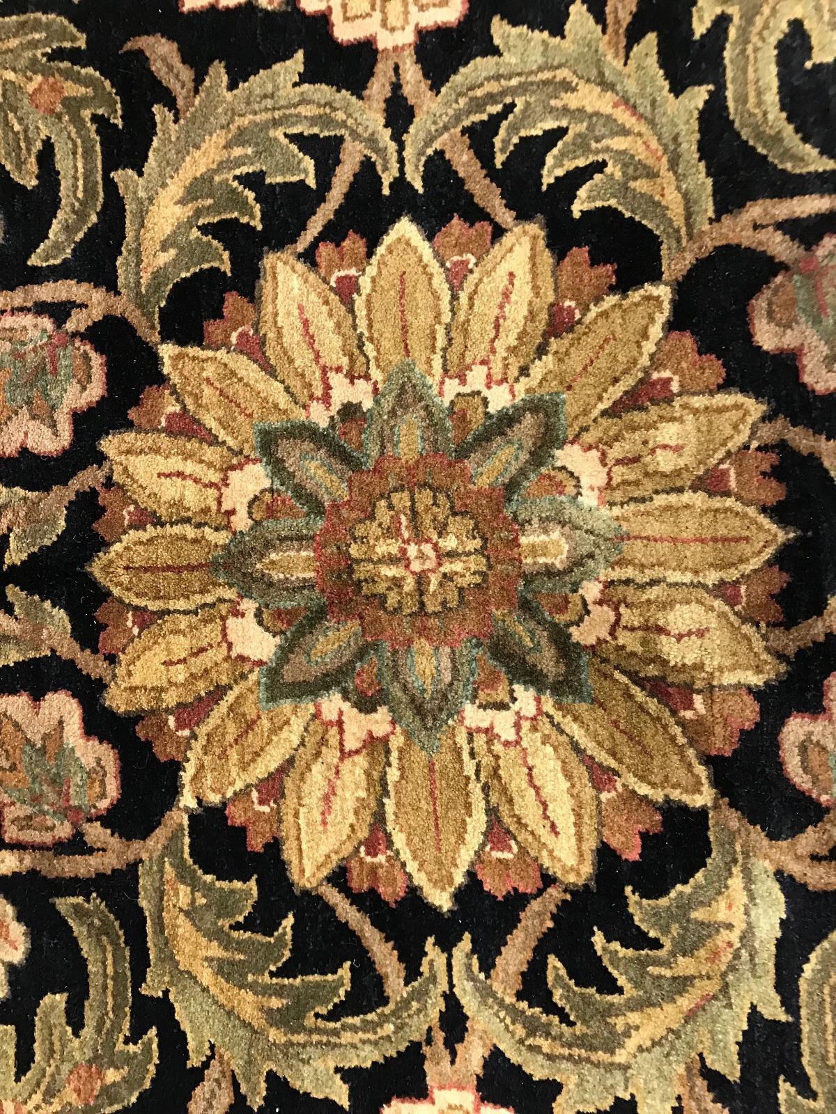 8 X 10 Hand Knotted 100% Wool Area Rug