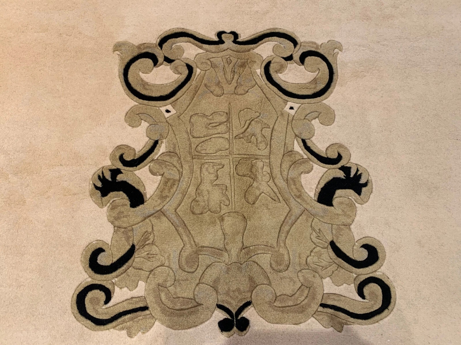 8 x 10 Hand Knotted 100% Woll Area Rug