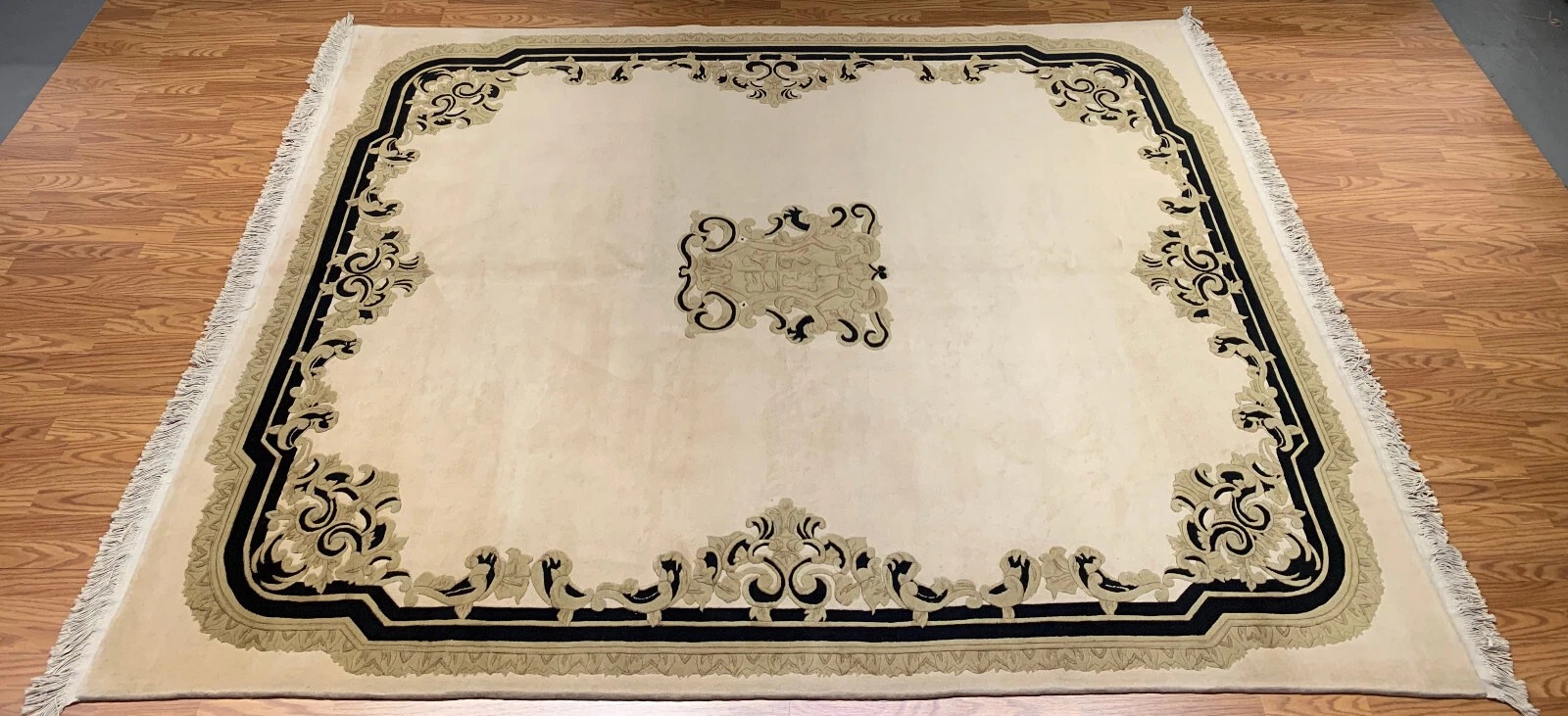 8 x 10 Hand Knotted 100% Woll Area Rug