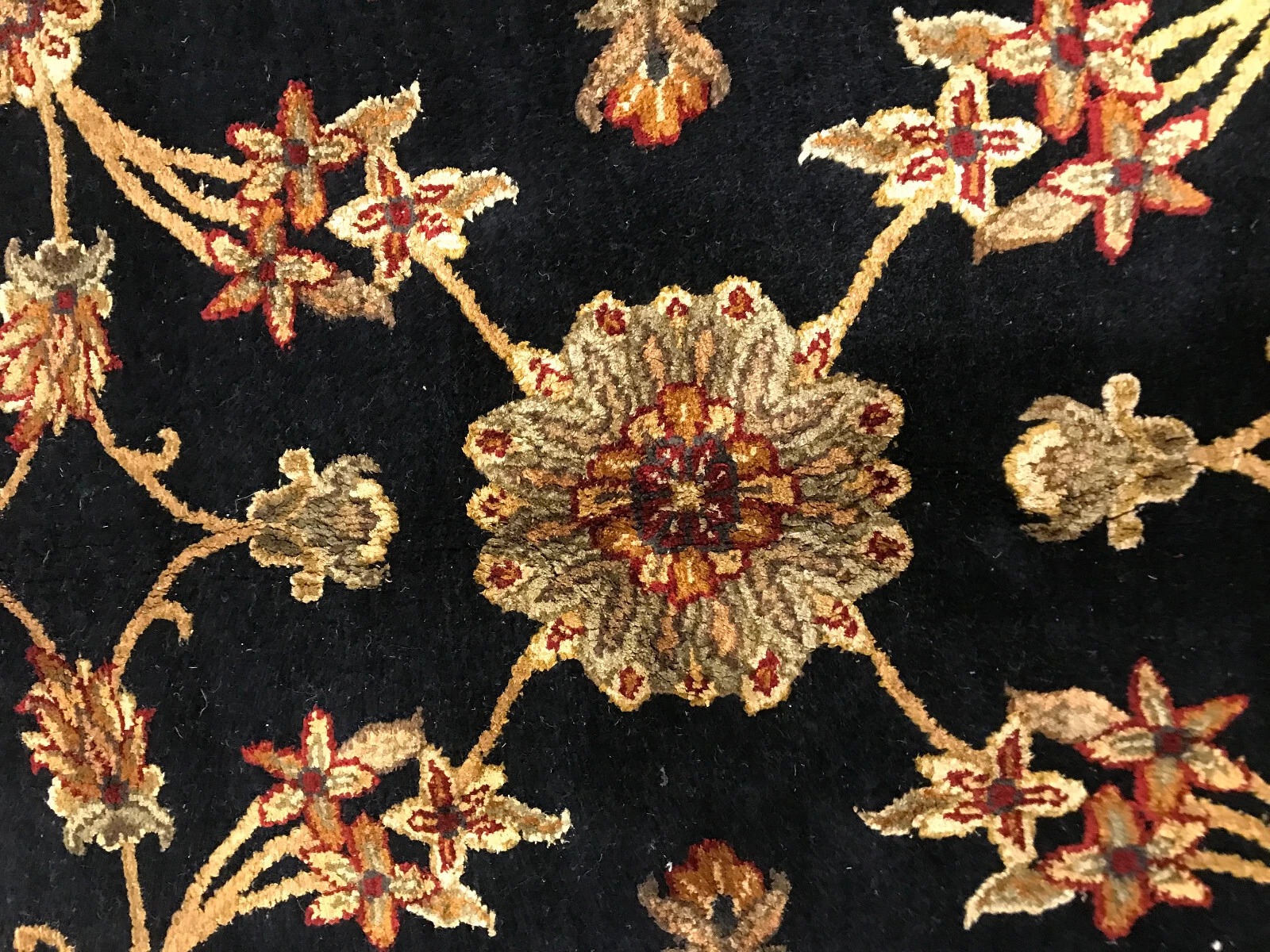 8 X 10 Hand Knotted Wool & Silk Area Rug