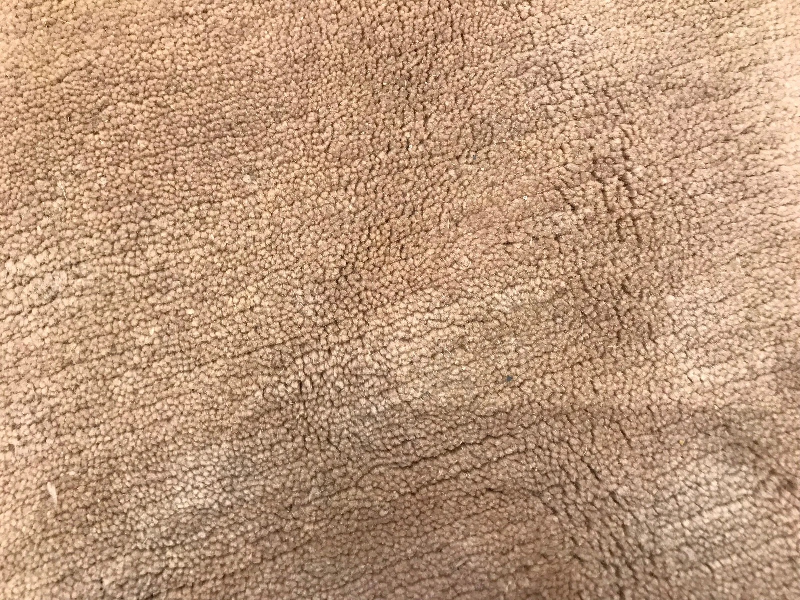 8 X 10 Hand Knotted 100% Wool Area Rug