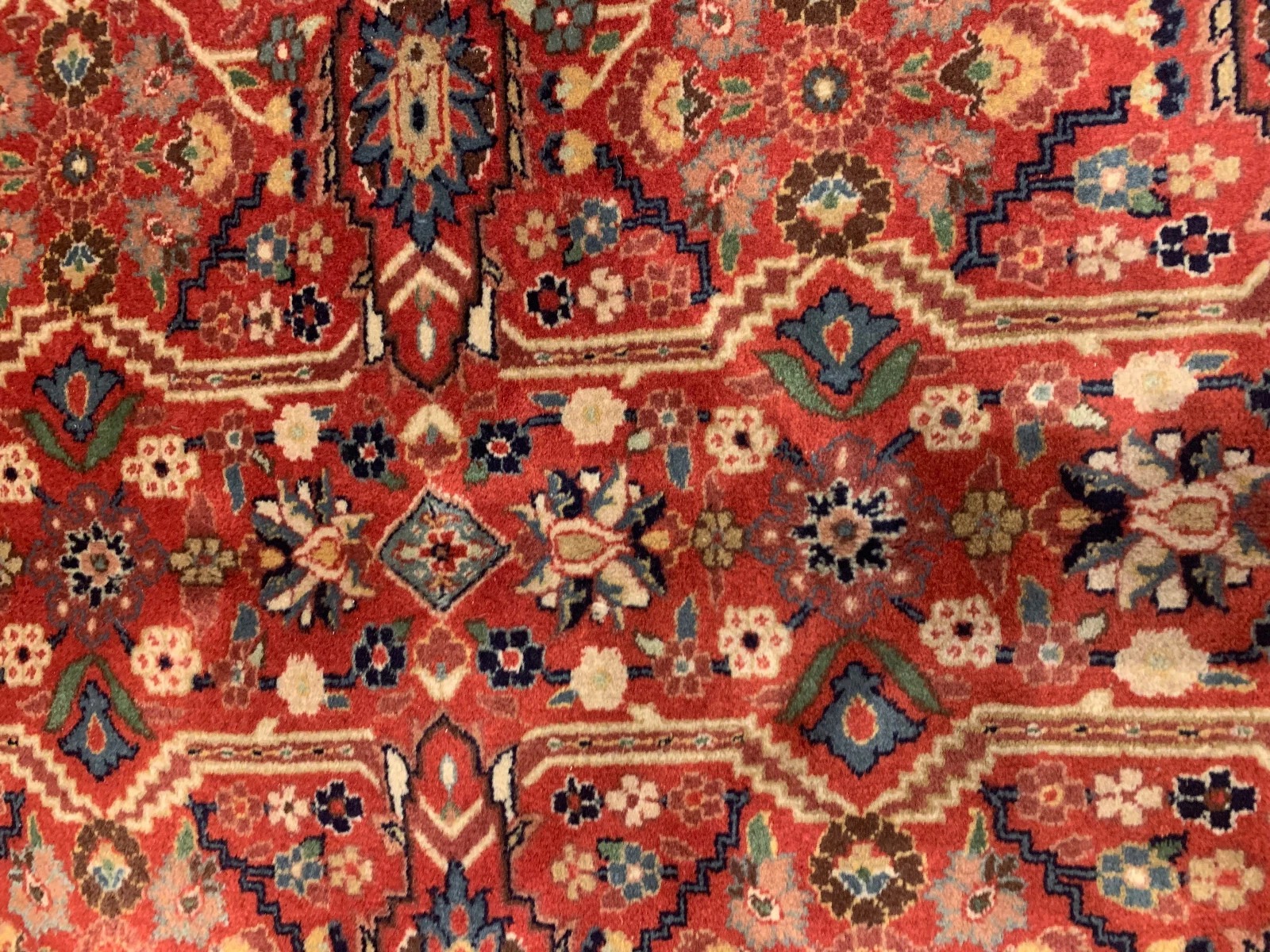 8 x 10 New Hand Knotted 100% Wool Area Rug