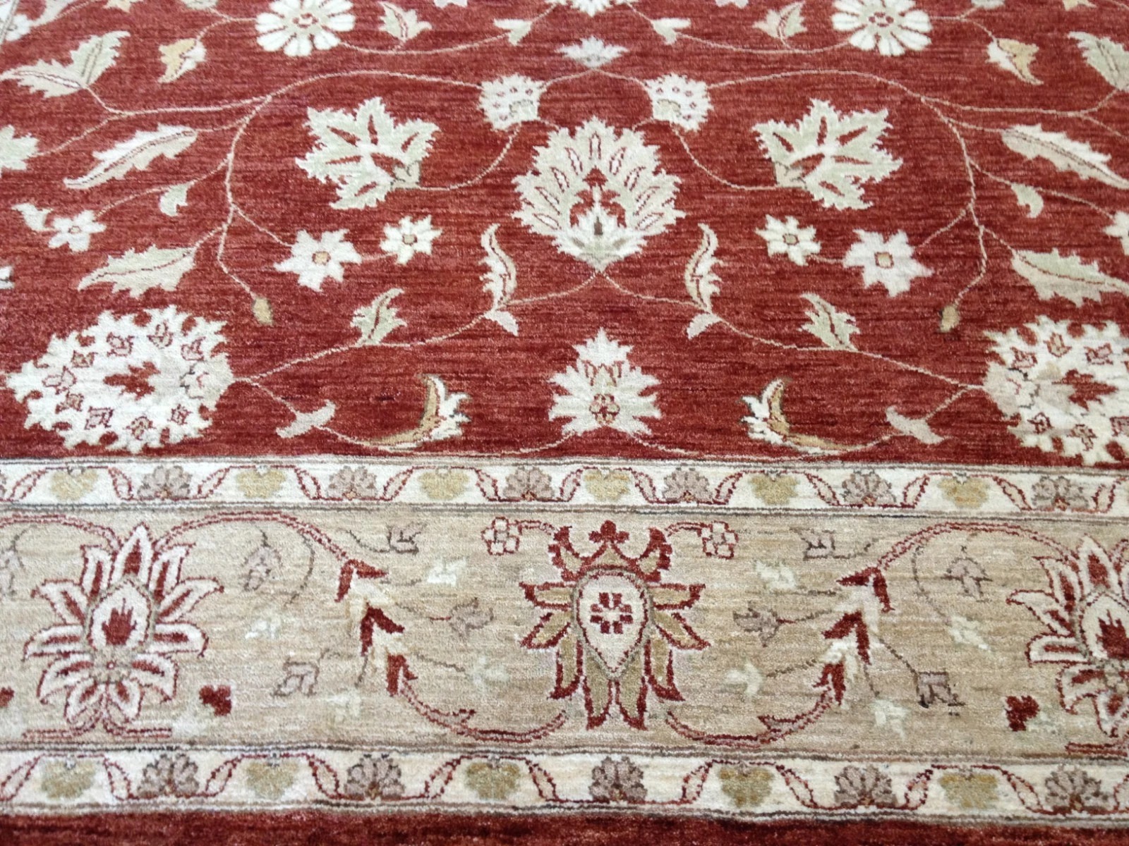 8 x 10 Fine Quality Indo Peshavar Hand Knotted Oriental Rug Wool