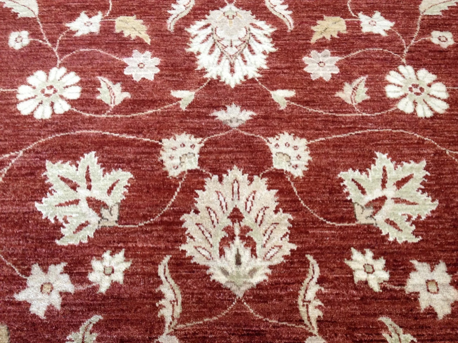 8 x 10 Fine Quality Indo Peshavar Hand Knotted Oriental Rug Wool