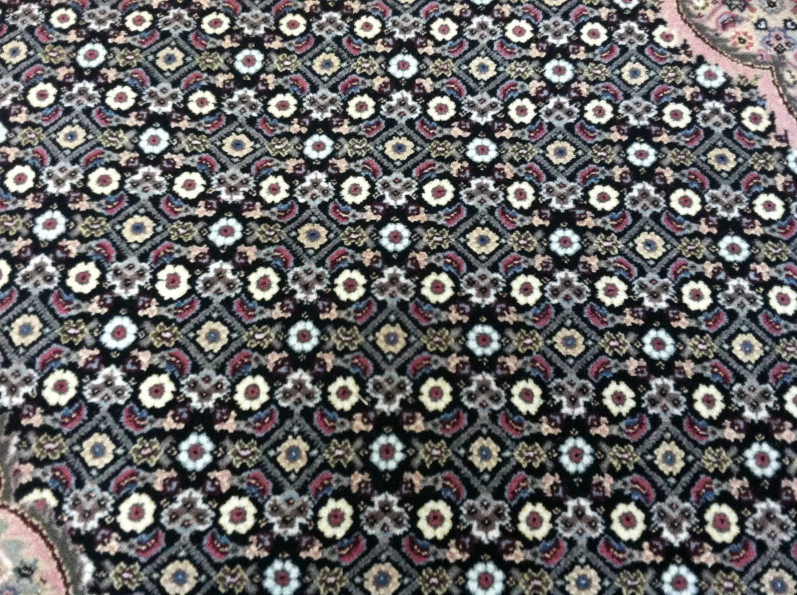 9x12 Wool & Silk Mahi Fish Design Handmade Oriental Area Rug