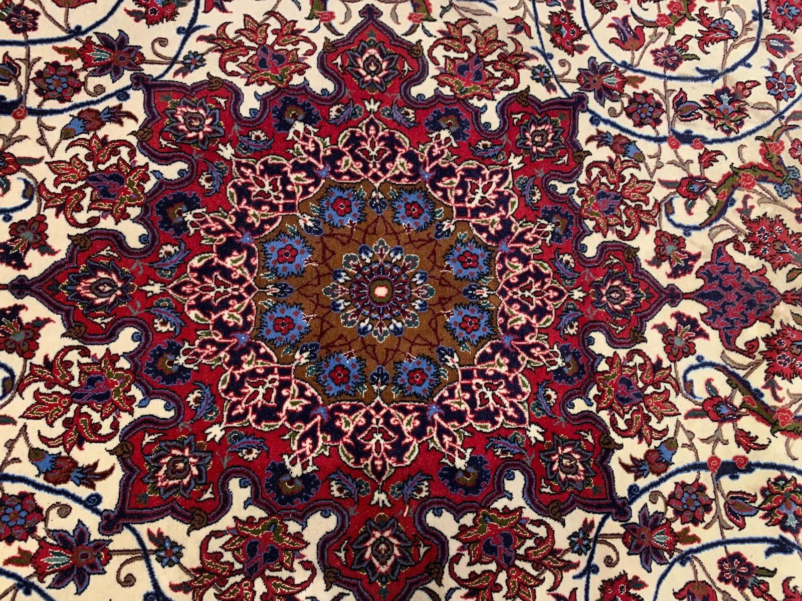 6.7 x 9.11 Hand Knotted 100% Wool & Silk Area Rug