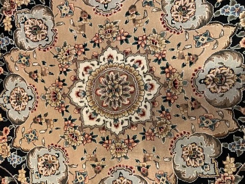 8 x 10 New Hand Knotted Wool & Silk Area Rug