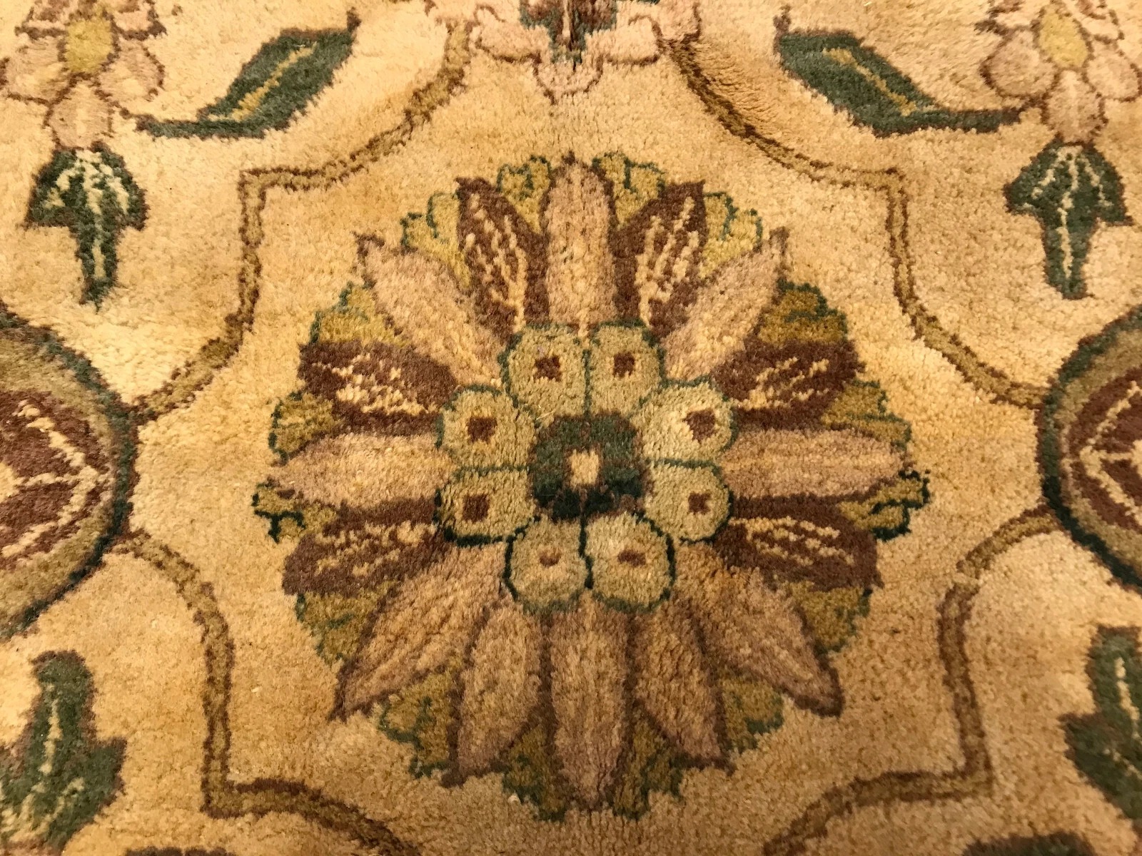 8 x 10 New Hand Knotted 100% Wool Area Rug