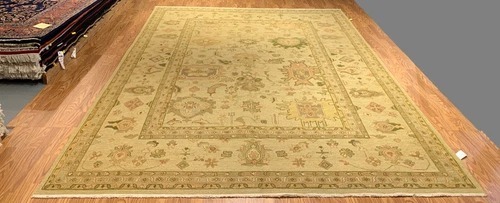9 x 12 Hand Knotted 100% Wool Area Rug
