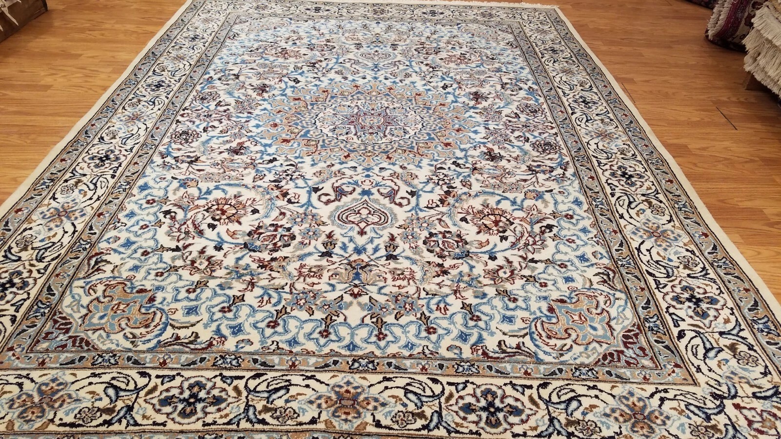 7 x 10 Ivory naein Wool Hand Knotted Area rug