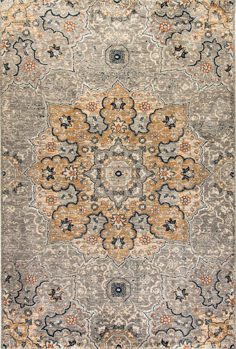 Dynamic Rugs EVOLUTION 4772-510 at Montaage Inc.