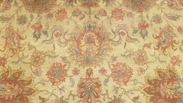 9 x 12 Beige & Olive Indo Agra All-Over Wool Hand-Knotted Oriental Rug 5272 Montaage Inc. image 6