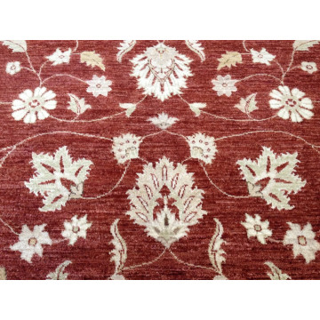 8 x 10 Fine Quality Indo Peshavar Hand Knotted Oriental Rug Wool KH Montaage Inc. image 6