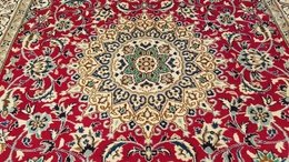 7 x 10 Red & Ivory  Naein Wool Hand Knotted Area rug 333497800999 Montaage Inc. image 3